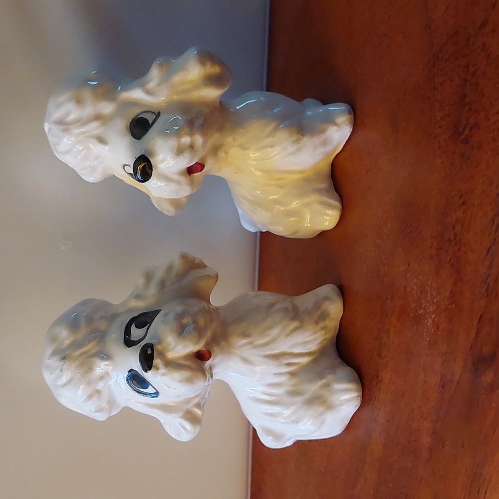 Poodle Salt & Pepper